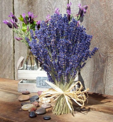 Hoa khô Lavender